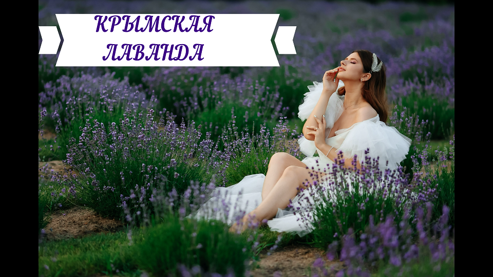 КРЫМСКАЯ ЛАВАНДА #лаванда#крымскаялаванда#посадкалаванды#лаванданаурале#лавандавсаду#заказнавалберис