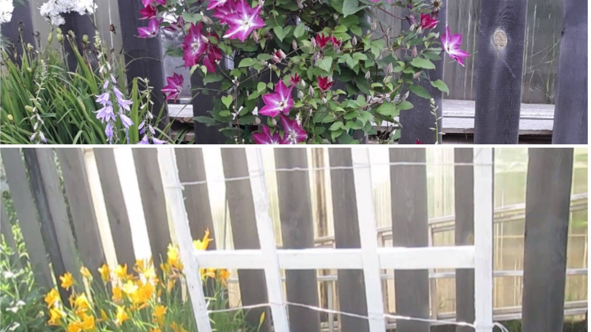 Опора для цветов и малины. Секрет в установке. Лопата не нужна #19