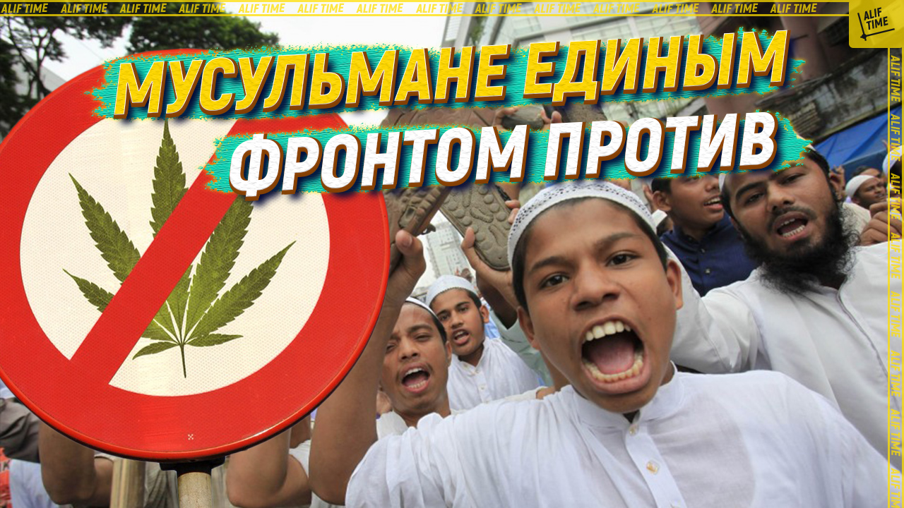 Мусульмане единым фронтом против