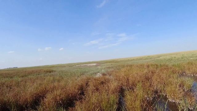 Охота на уток в Сибири. Пять штук с одного выстрела )))