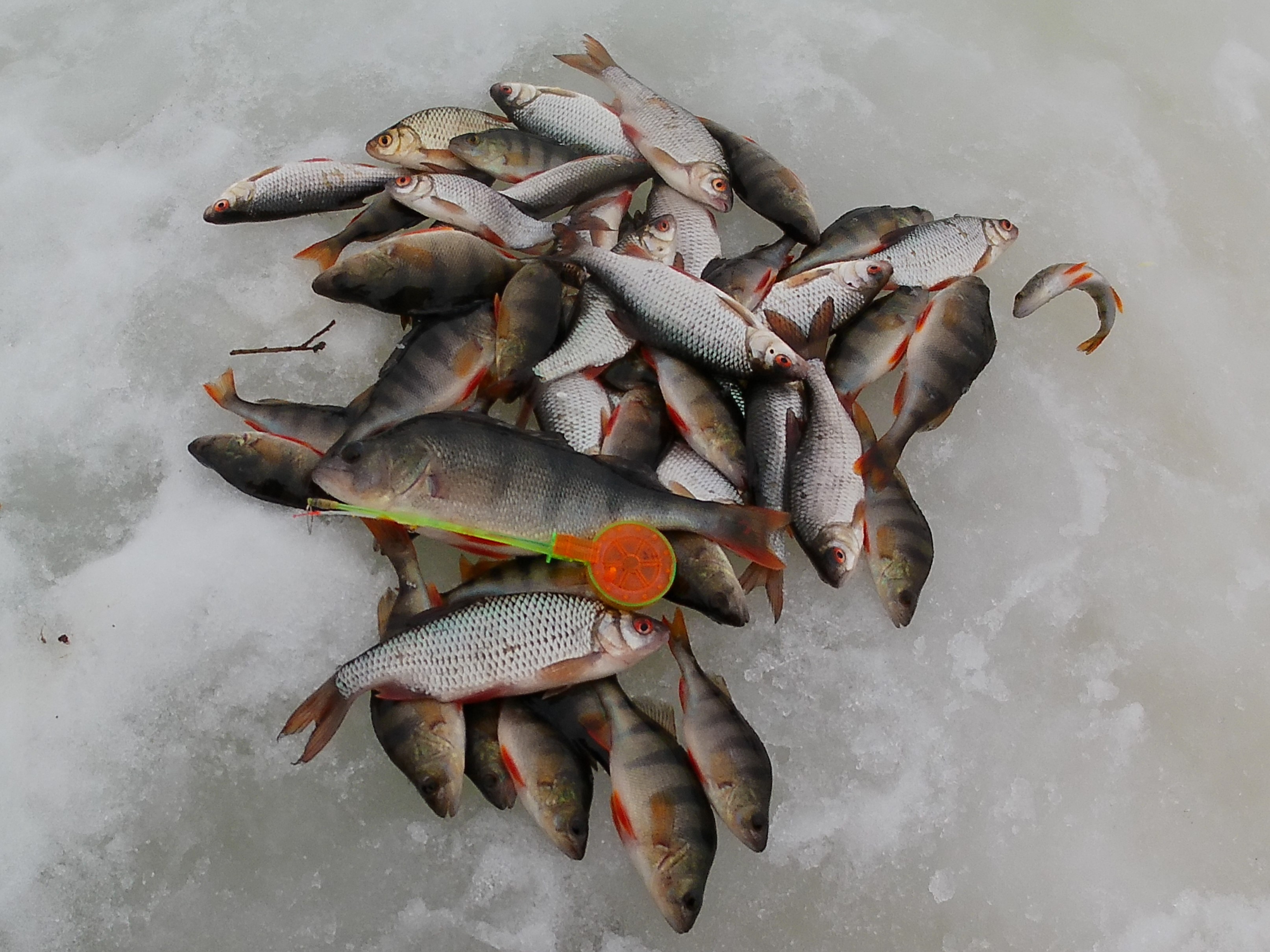 Большая оттепель! (1)