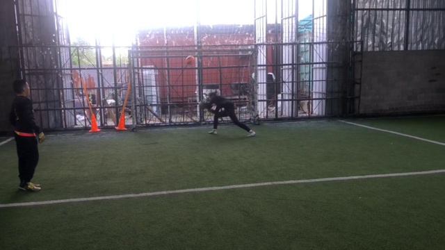 Goalkeeper Training