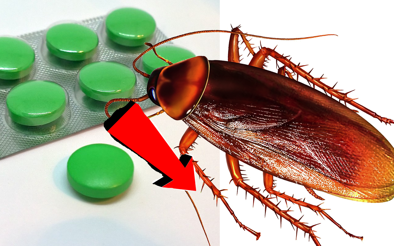 Как Быстро избавиться от тараканов За 3 Секунды.!.!.!.