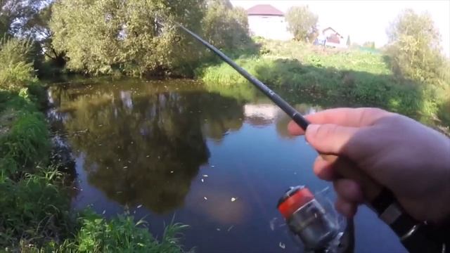 В сентябрьскую жару на Десне, колебалочка-выручалочка