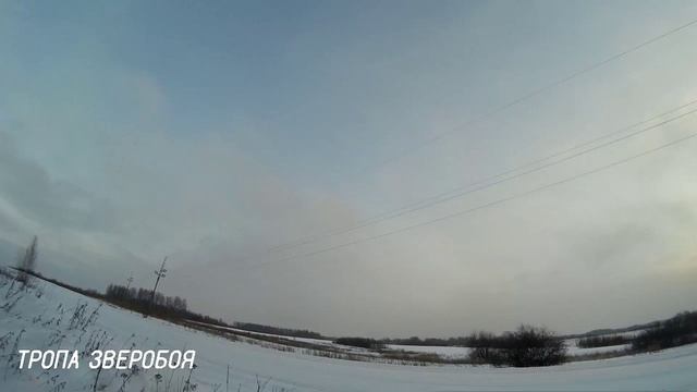 Самая быстрая охота на зайца