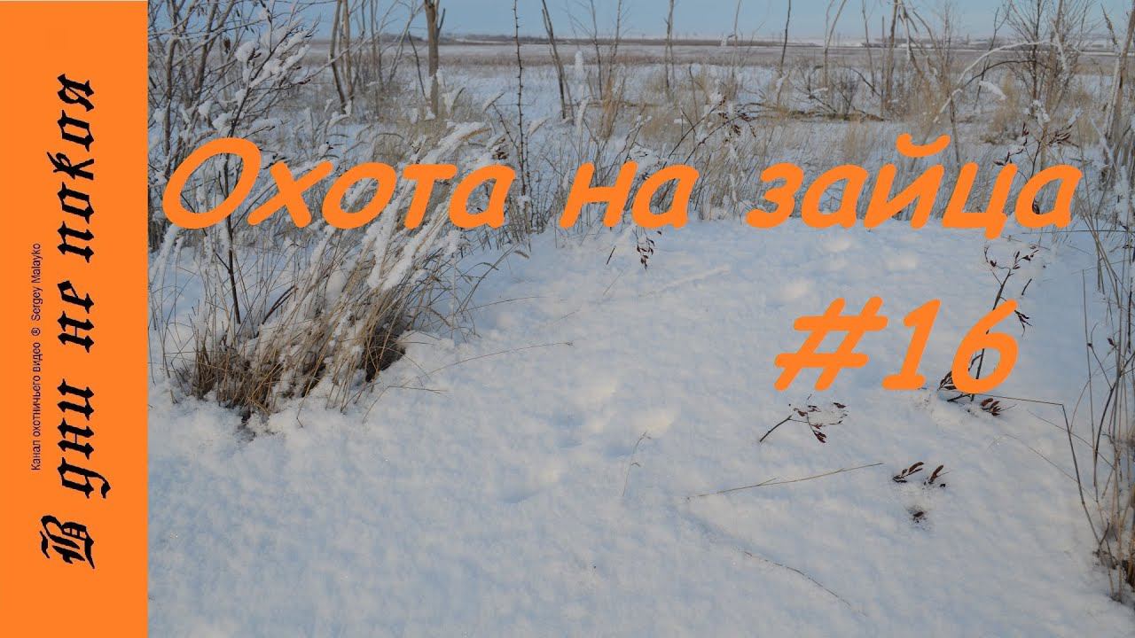 Охота на зайца. Выпуск № 16 18+