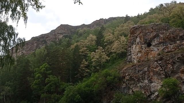 #в_лесу#княжики_где_растут#шишки_для_мульчирования  Покатушки в сосновый бор!Княжики в лесу_!.mp4