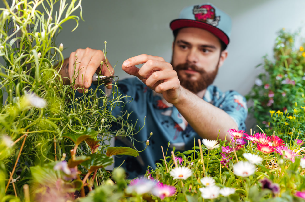 Условия роста. Нашел свои старые видео, надеюсь будут полезны. Микрозелень,беби зелень,цветы,травы.