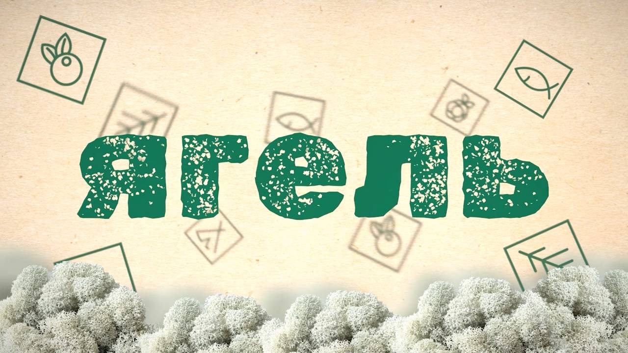 Ягель TV. Выпуск 8