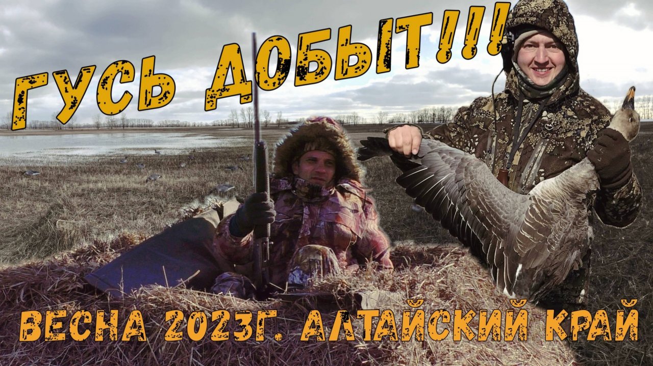 Гусиная охота на Алтае / Добыли первого гуся / Весна 2023 / Алтайский край