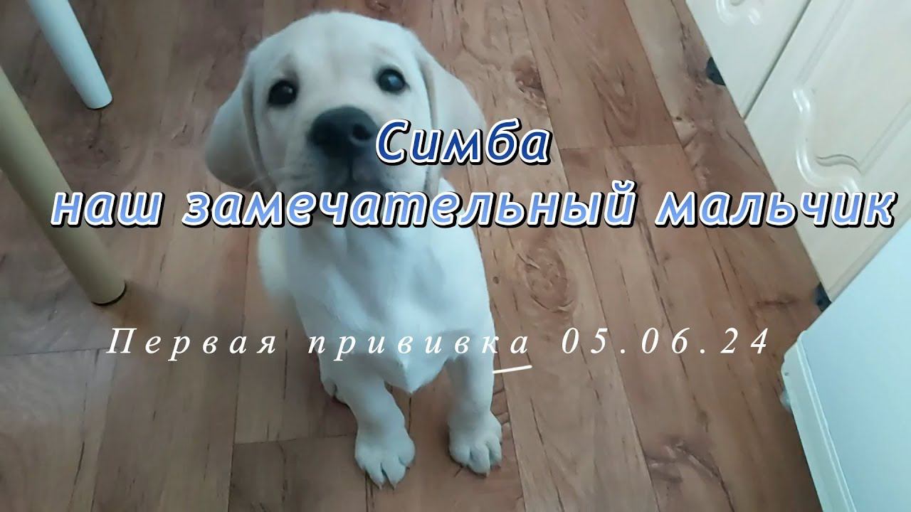 Первая прививка 05.06.24