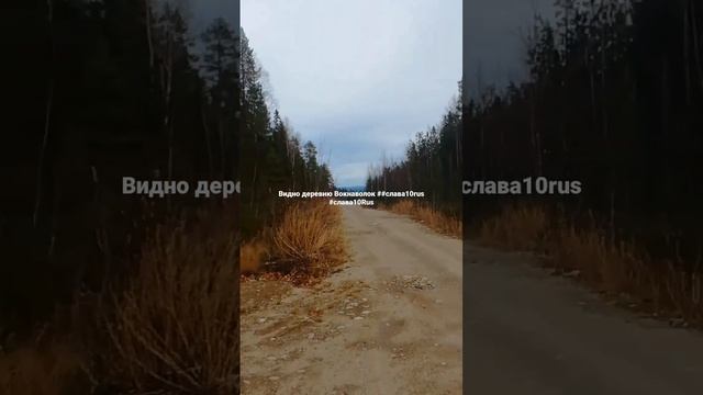 Видно деревню Вокнаволок #Видно #деревню #Вокнаволок ##слава10rus #слава10Rus (720p)