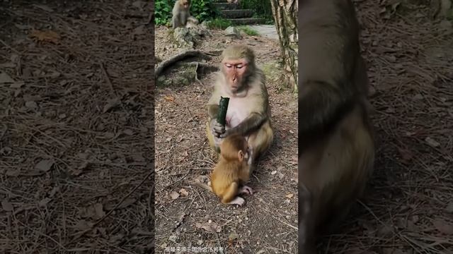 Забота о детях