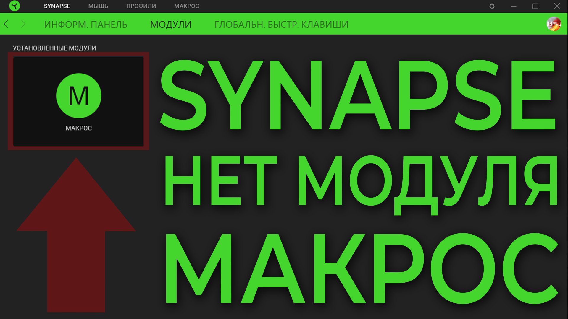 Что делать если нет модуля макрос в Razer Synapse?