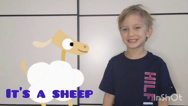 Animals / Животные