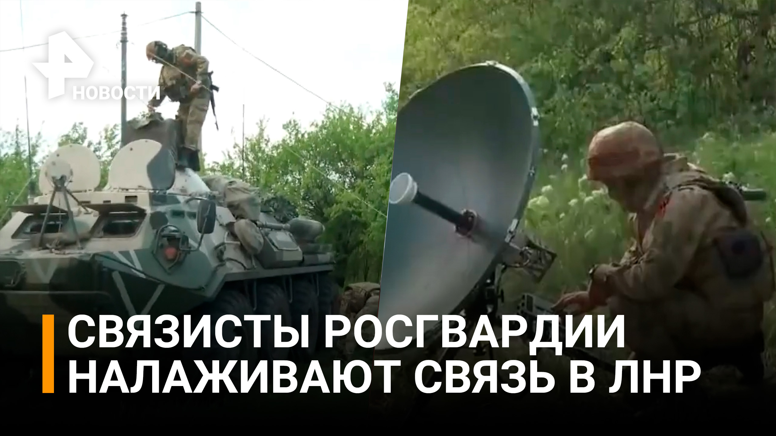 Как настроить защищенную связь под огнем — показывают связисты Росгвардии в ЛНР / РЕН Новости