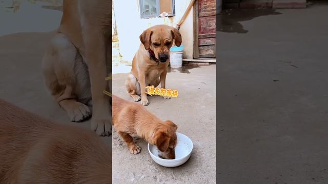 Почему ты каждый раз...