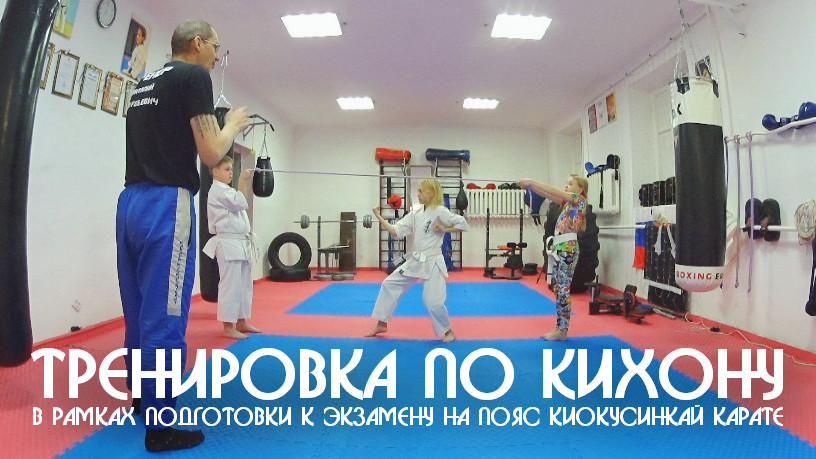 Тренировка по кихону в рамках подготовки к экзамену на пояс Киокусинкай карате. ЦСП «Тэнгу Про»