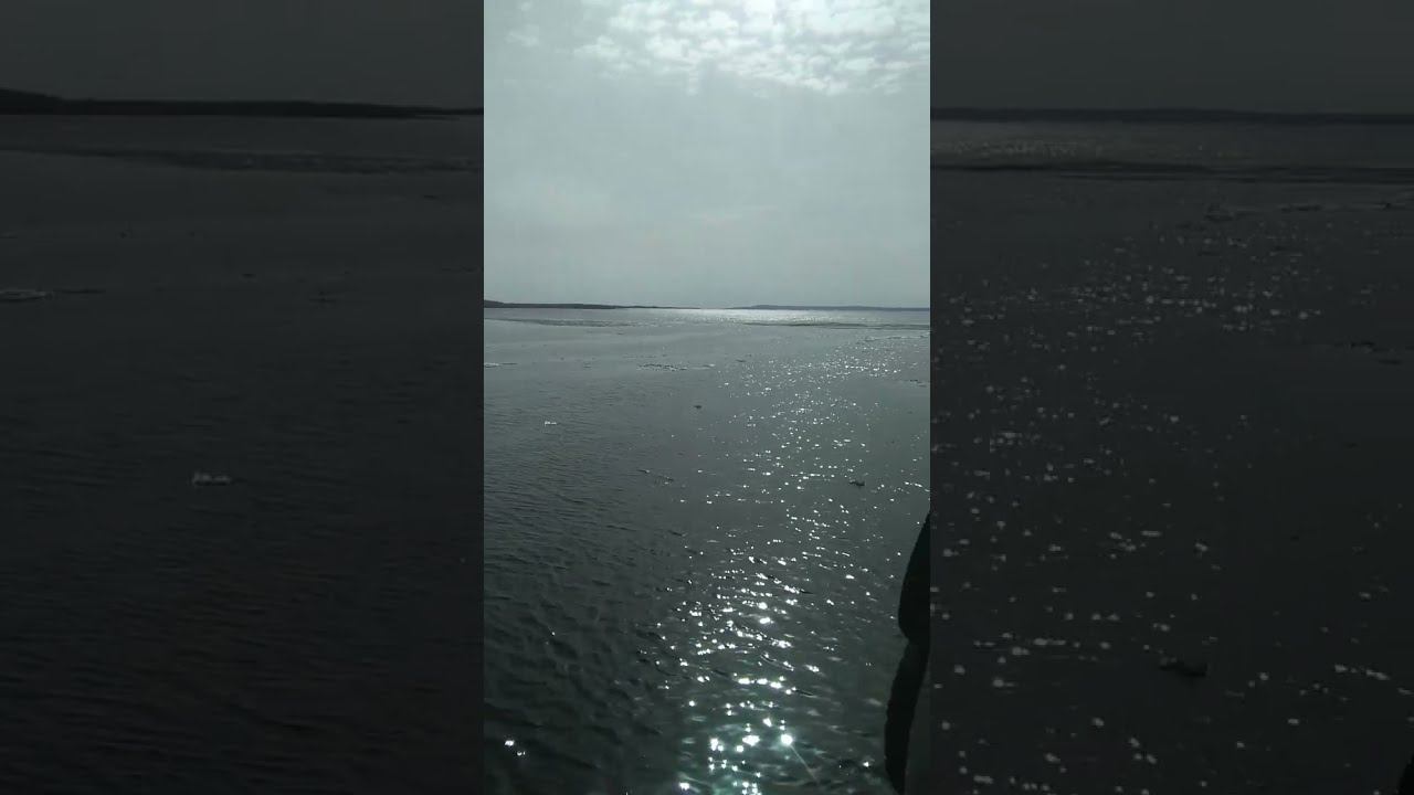 Волга. 2 апреля 2024 года.