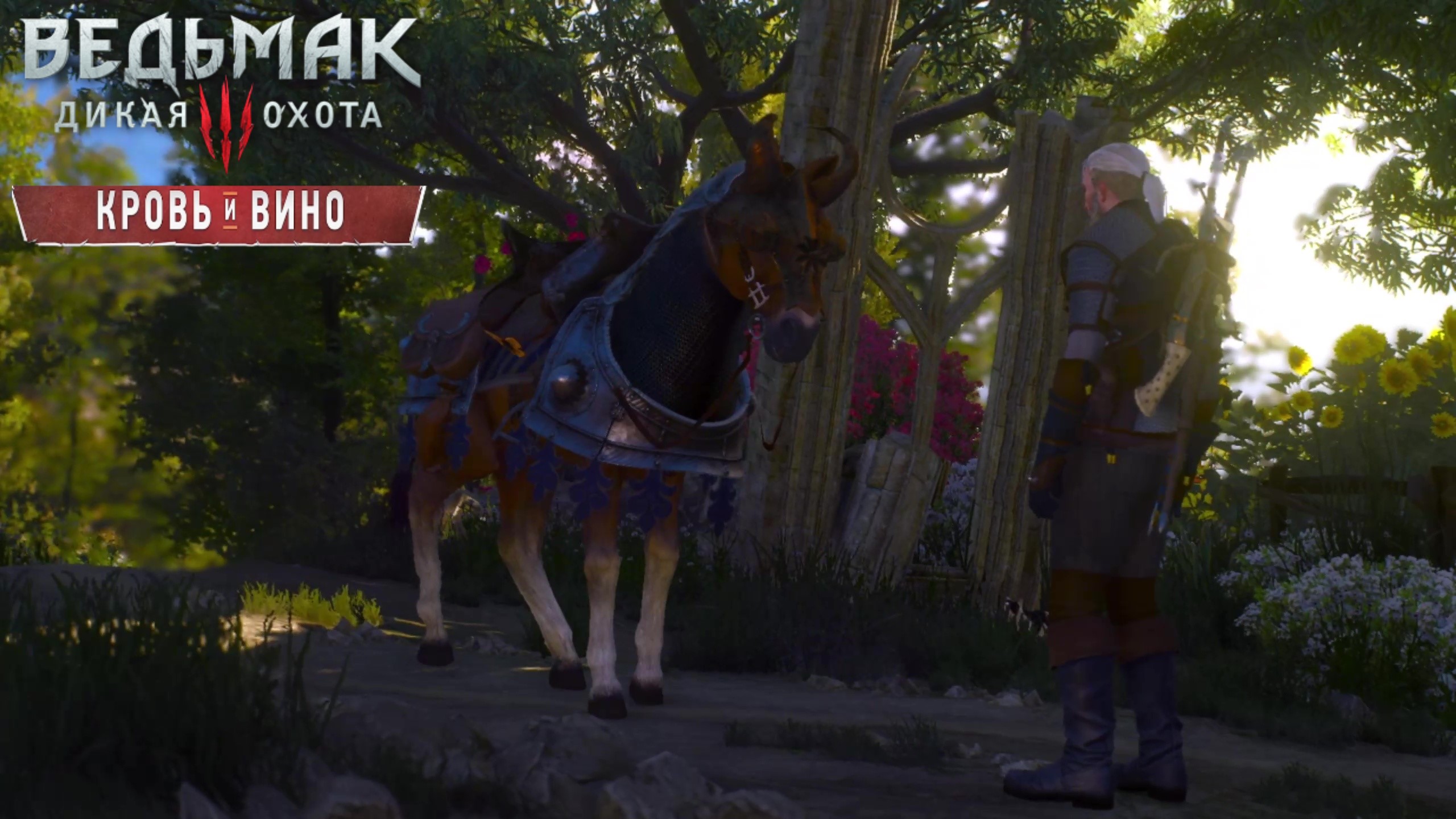 О чём говорит плотва ► Ведьмак 3 Кровь и вино