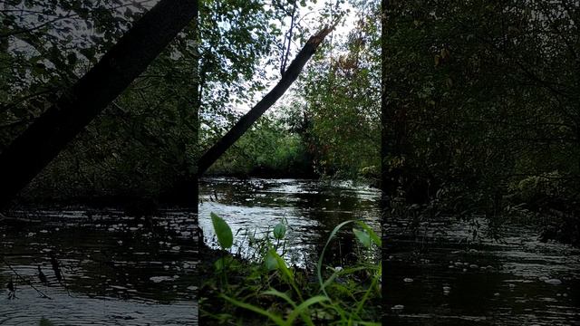 Горный ручей