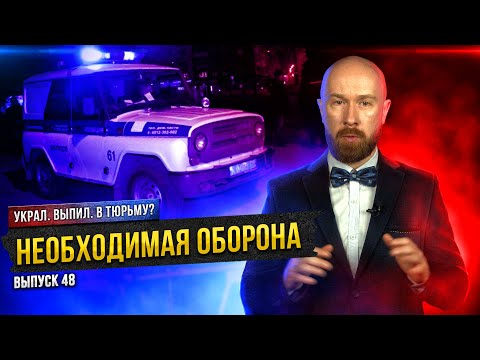 Необходимая оборона. Бить или не бить?