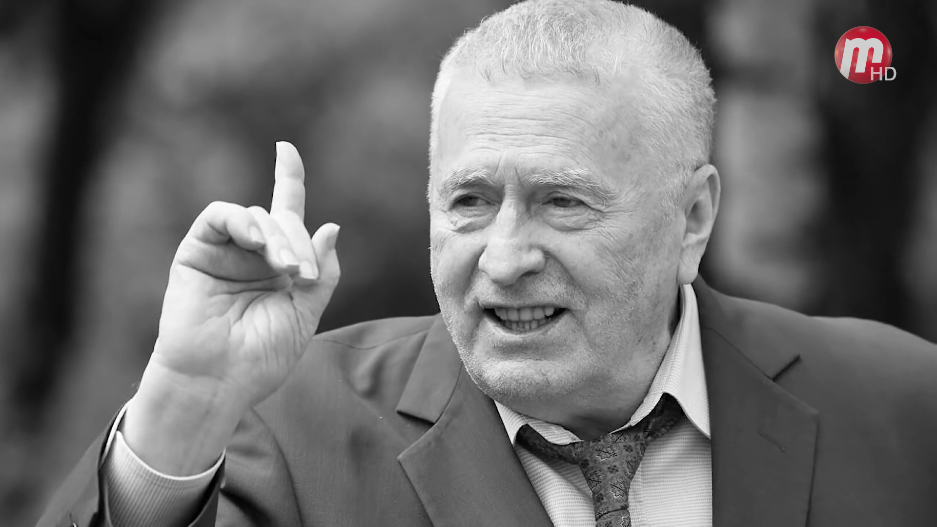 ЛДПР. Владимир Жириновский