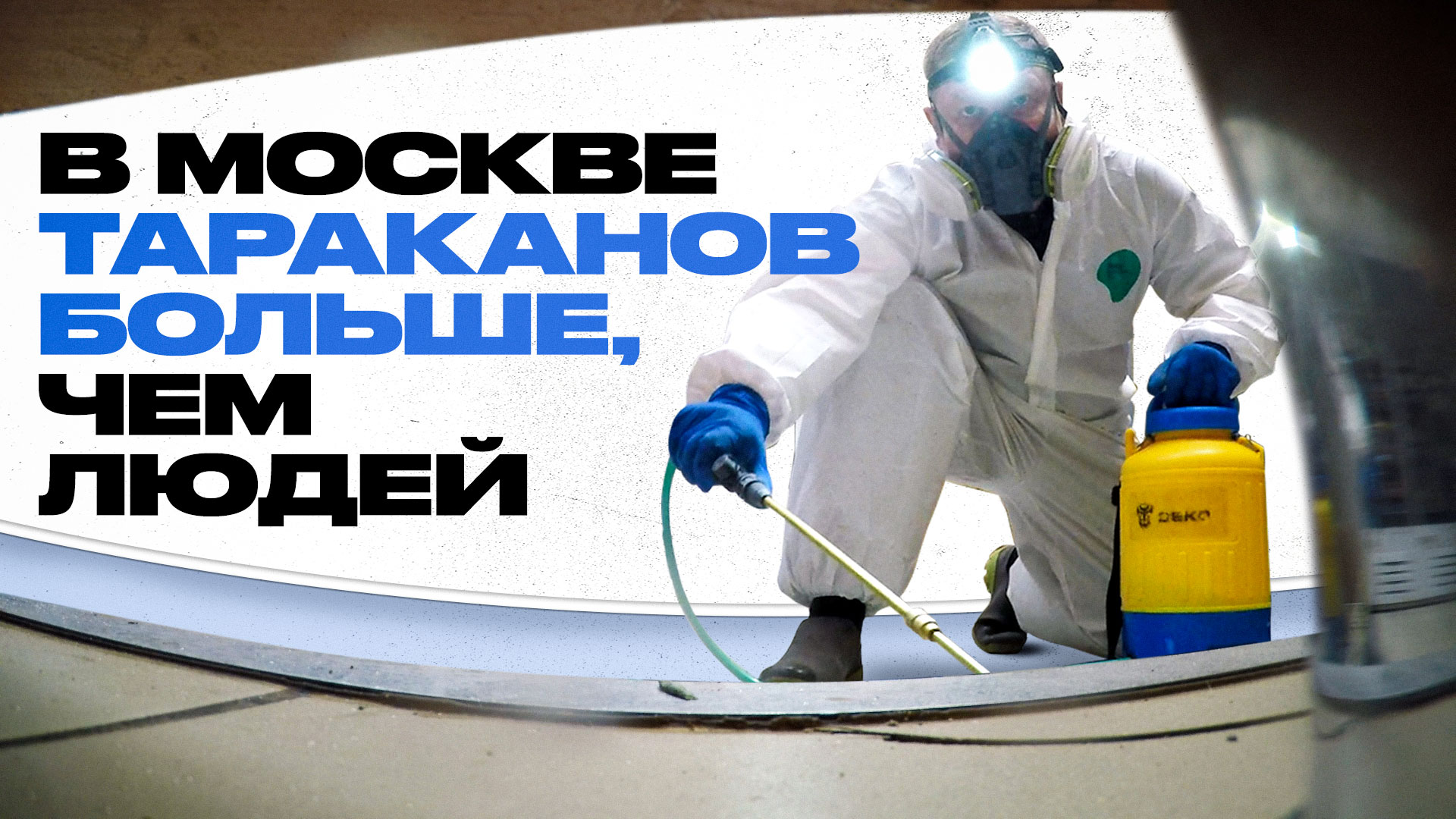 Как не пустить насекомых в дом? Дезинсектор о клопах, тараканах и опасностях похода в гости