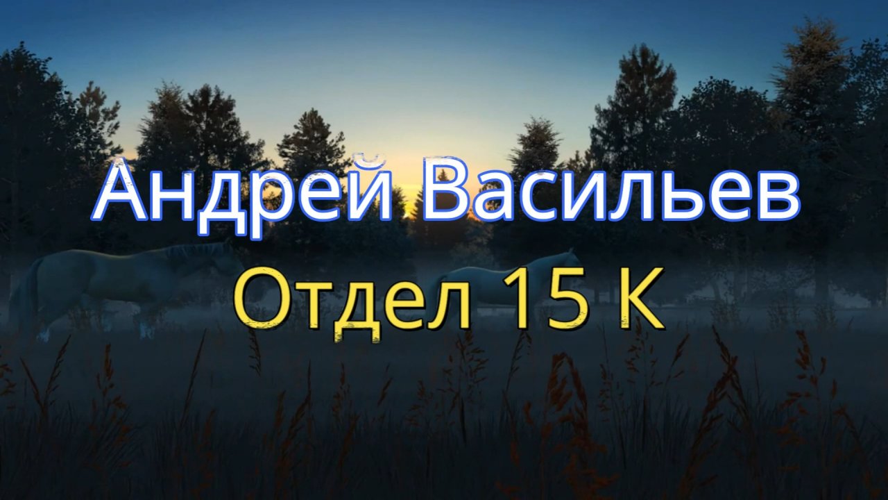 "Отдел 15 К", Андрей Васильев