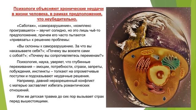 Книга "Путь наименьшего сопротивления" - Роберт Фритц