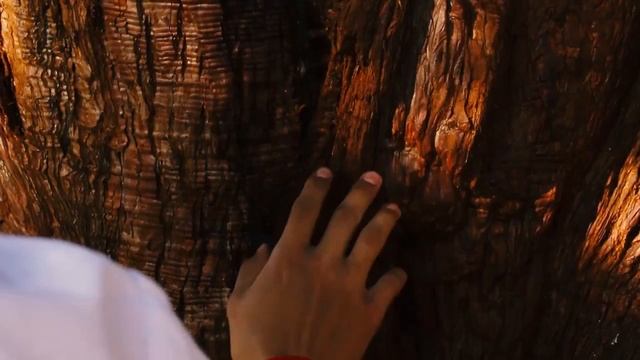 2018. Пушкинские герои в Артеке, д_л. _Янтарный_.mp4