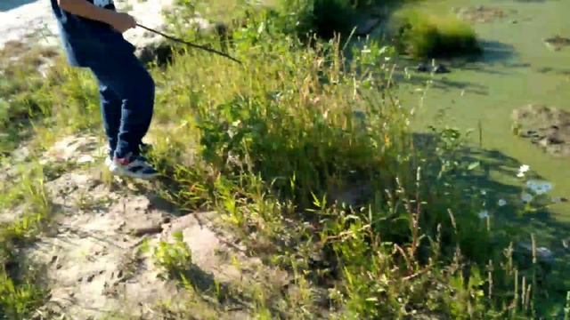 На Платона напали самураи, в конце мы нашли странный цветок 1 часть