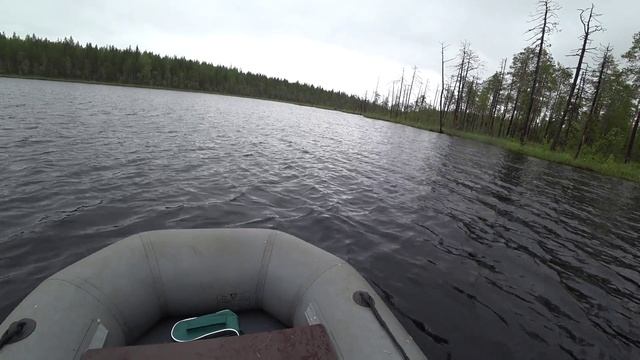 РЫБАЛКА НА ТАЕЖНОМ ОЗЕРЕ В КАРЕЛИИ / СПИННИНГ. ЖЕРЛИЦЫ. КРУЖКИ / НОРД И ГЛУХАРКА