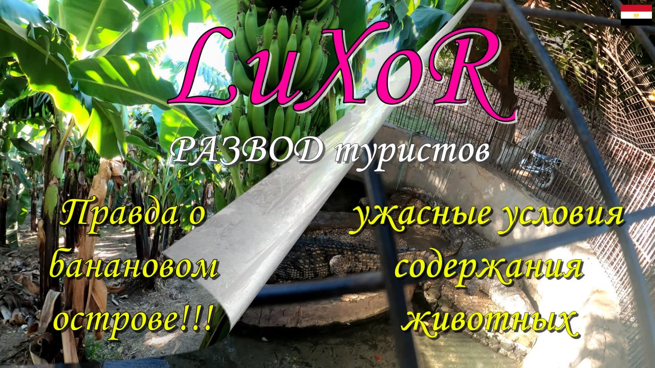 Правда о экскурсии "Банановый остров"