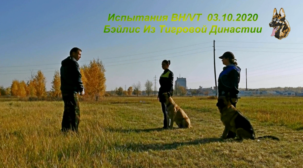 Испытания BX/VT