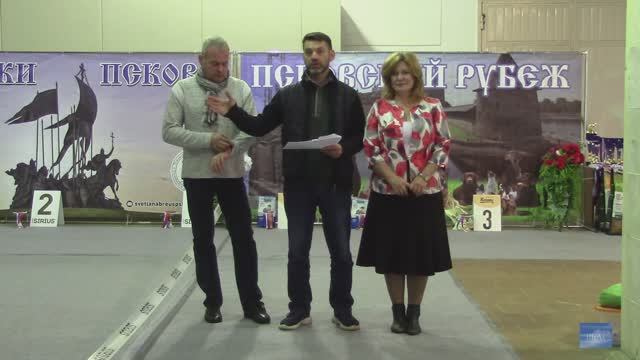 Выставки собак "Золотая осень - 2022" и "Псков-бархатный сезон".