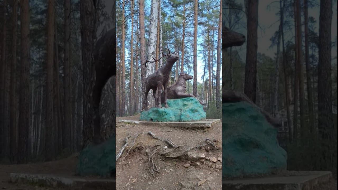 Воскресная прогулка