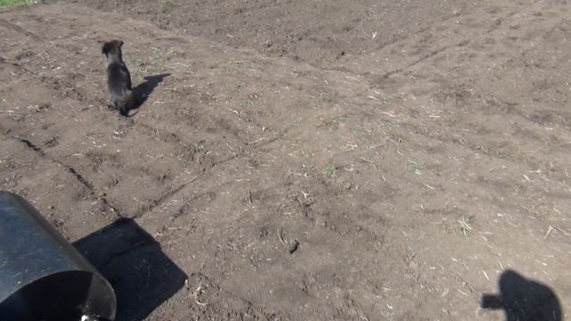 ТЕСТИРУЕМ НОВЫЙ КАТОК!