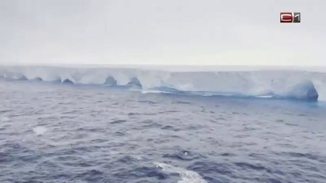 Тип-Топ Новости от 24.01.24  Кому удалось заснять самый большой айсберг?