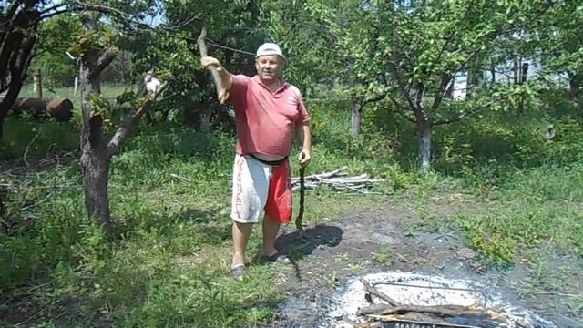 Дача _ 05.06.2017