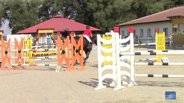 27.08.2022 г. Конкур. Минский район, Ратомка.