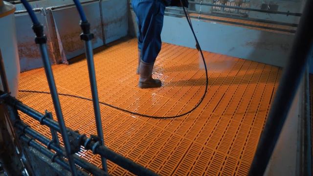 Биологическая безопасность свинокомплекса: дезинфекция, дератизация и утилизация отходов