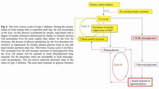 Диабет – болезнь или отравление жиром_ _ Больше чем ФАКТЫ О ПИТАНИИ - Майкл Грегер