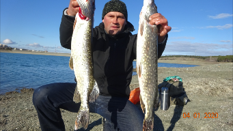 Щука на новый год! На живца! На пескаря! 2020.