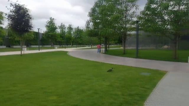 КрасноДар.Архив.VLOG.Новая _узбечка_,тапки и Ужас в Парке😠