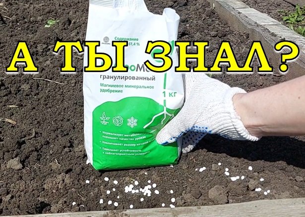 ВАЖНО: какие удобрения вносить весной???