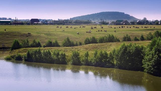 "В ПОЛЯХ БАШКИРИИ"... (Фото Светланы УРМАНЦЕВОЙ (Уфа), музыка Дайаны АРКЕНСТОУН (США))