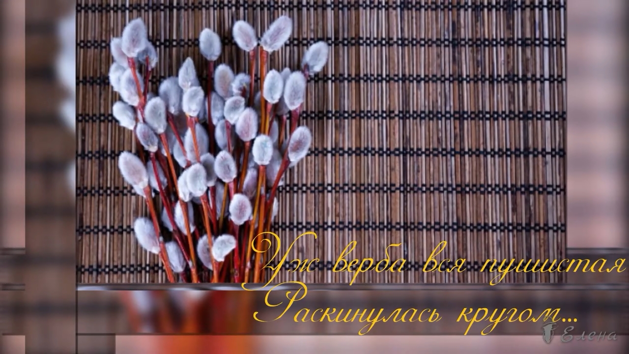Уж верба вся пушистая раскинулась кругом*