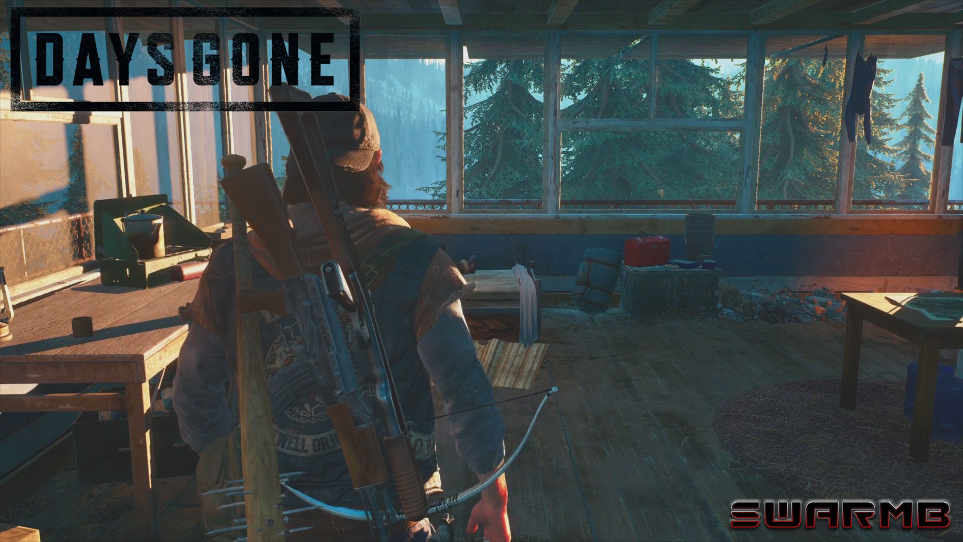Days Gone ➪ # 4) Гнездо на лесопилке