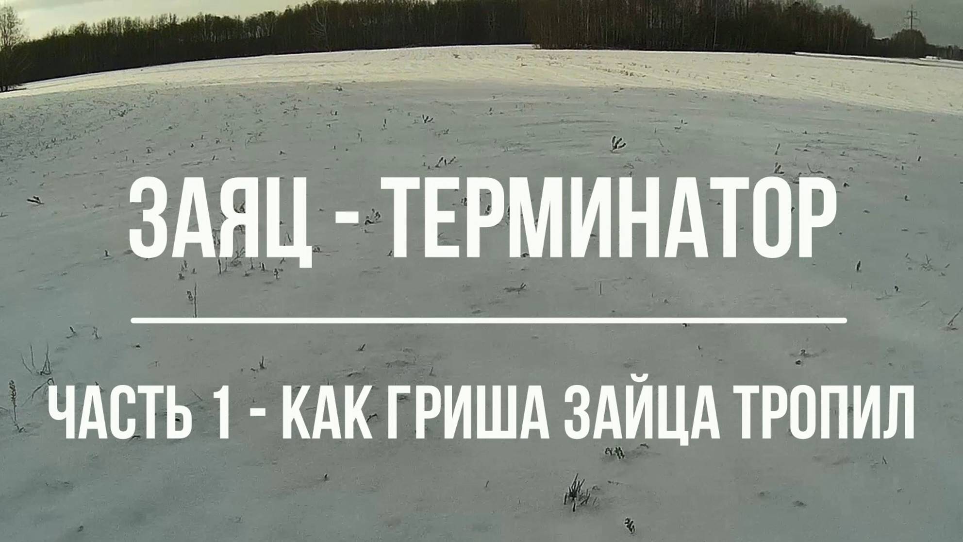 КАК ГРИША ЗАЙЦА ТРОПИЛ